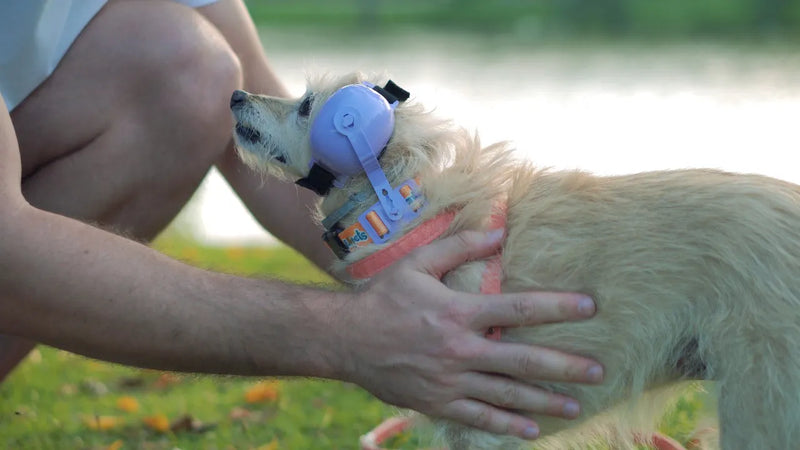 Fone Protetor De Ouvido Para Cachorro - Petfone