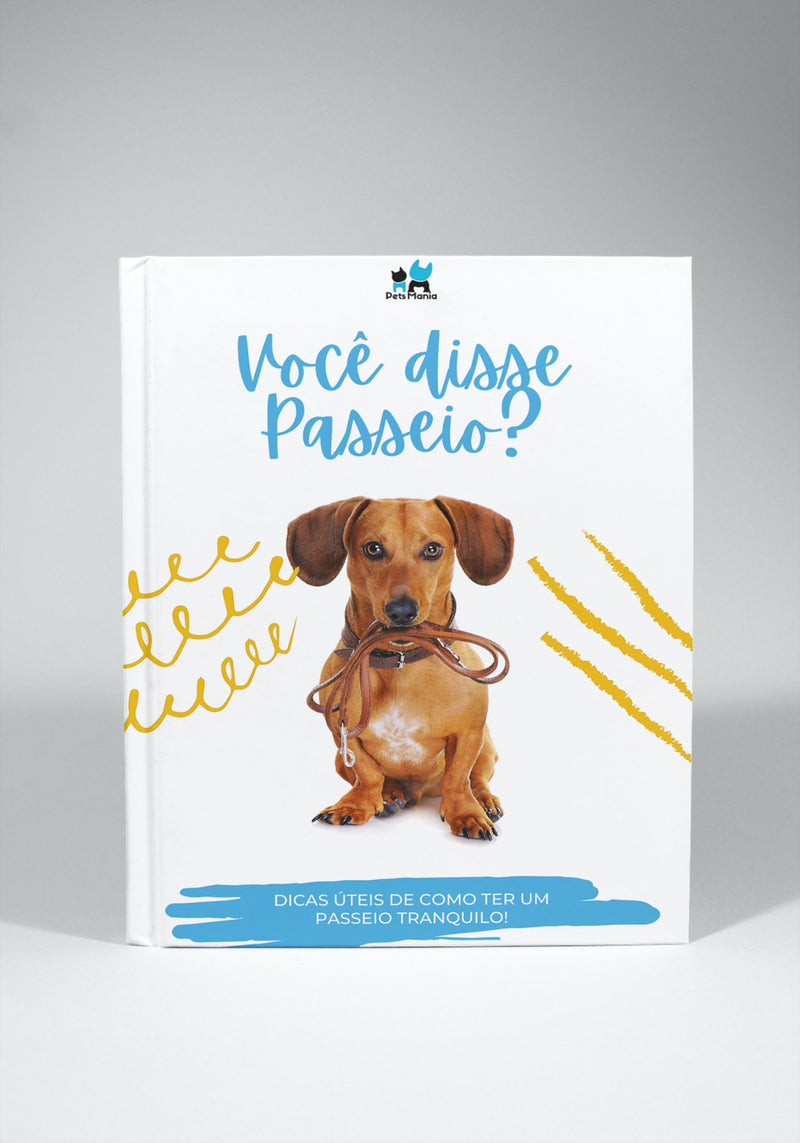 E-book - Você disse passeio?